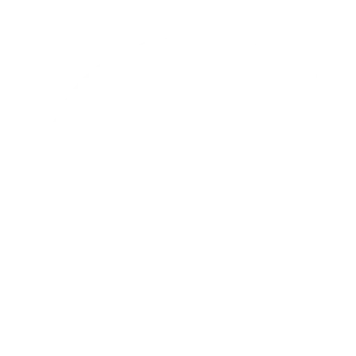 AnCaSiSa No.1 Logo